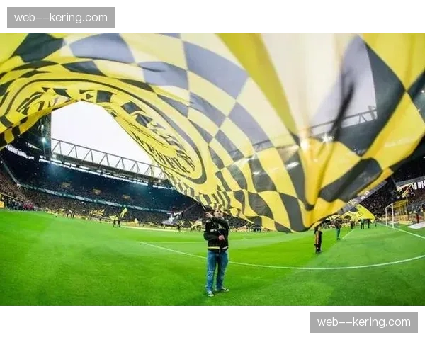 多特蒙德宣布伊杜纳信号公园球场将进行大规模看台翻新